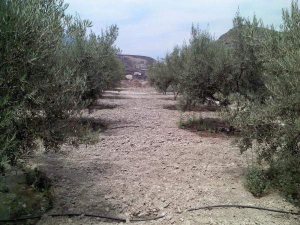 Terreno en via Sin Nombre, km 256