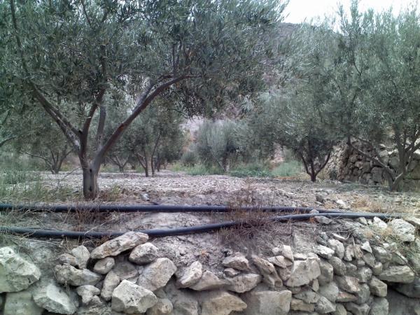 Terreno en via Sin Nombre, km 256