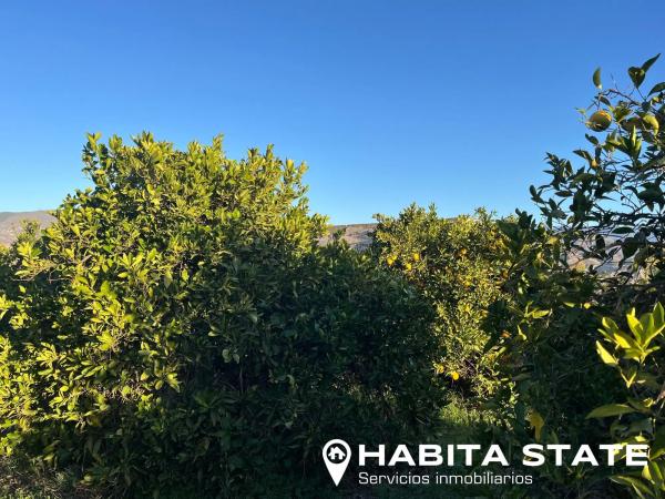 Terreno en Paraje Las Terreras s/n