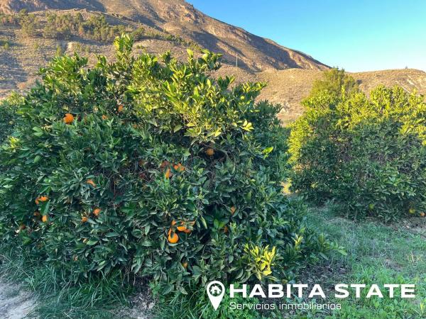 Terreno en Paraje Las Terreras s/n