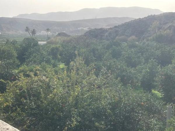 Terreno en Al-3412, 850 AmdeGAdor