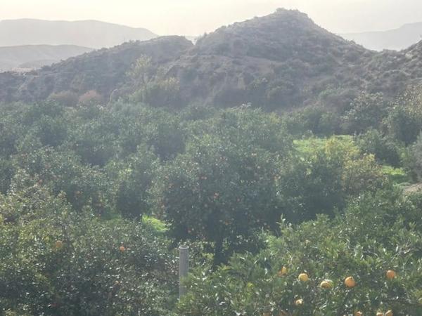 Terreno en Al-3412, 850 AmdeGAdor