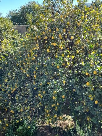 Terreno en via sin nombre s/n