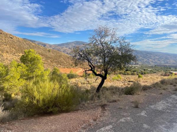 Terreno en Al-4401 s/n