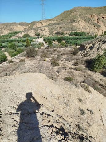 Terreno en rambla Ciscarejo s/n