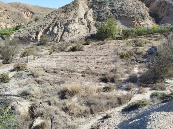 Terreno en rambla Ciscarejo s/n