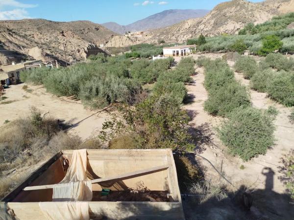 Terreno en rambla Ciscarejo s/n