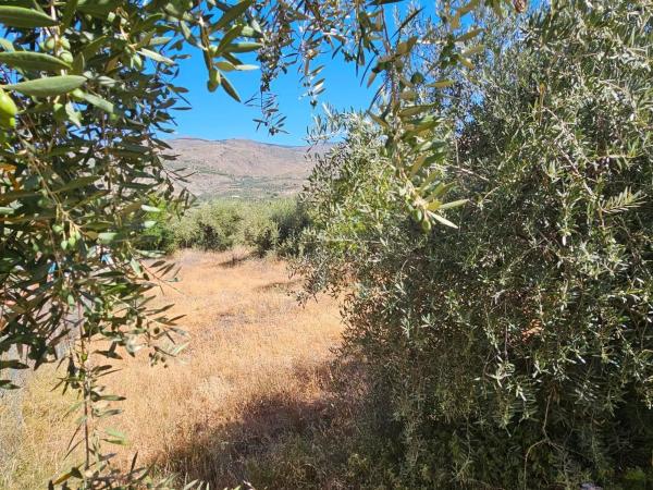 Terreno en calle Almeria