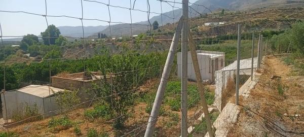 Terreno en plaza Constitución, 10