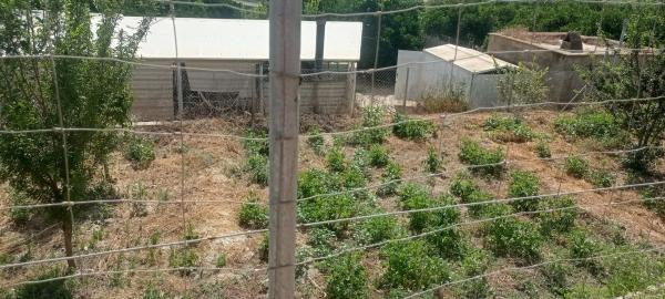 Terreno en plaza Constitución, 10