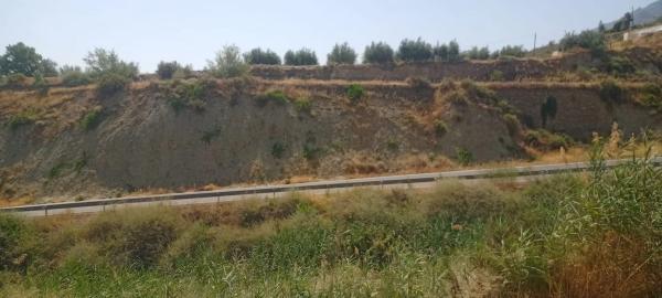 Terreno en plaza Constitución, 10