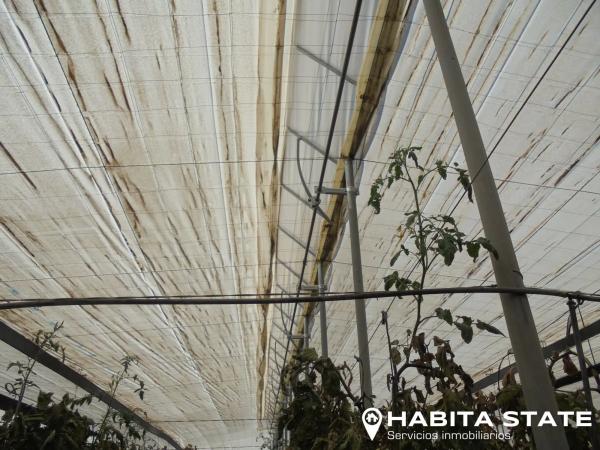 Terreno en Pago de Ojeda s/n