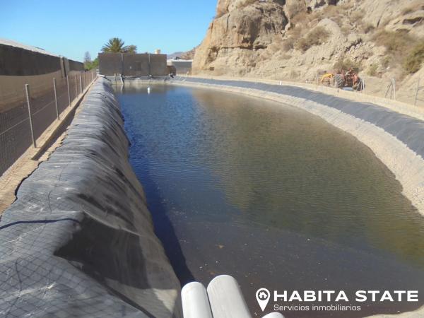 Terreno en Pago de Ojeda s/n