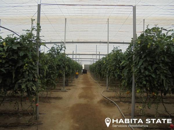 Terreno en Pago de Ojeda s/n