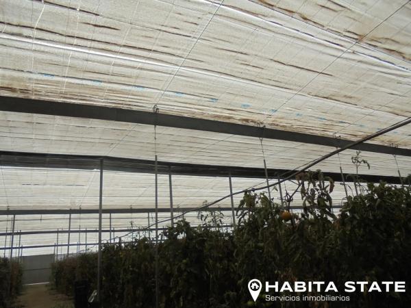 Terreno en Pago de Ojeda s/n