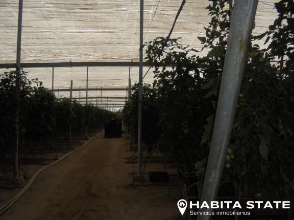 Terreno en Pago de Ojeda s/n