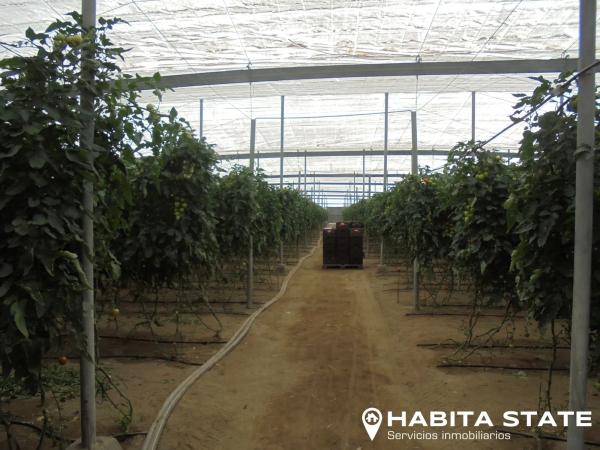 Terreno en Pago de Ojeda s/n