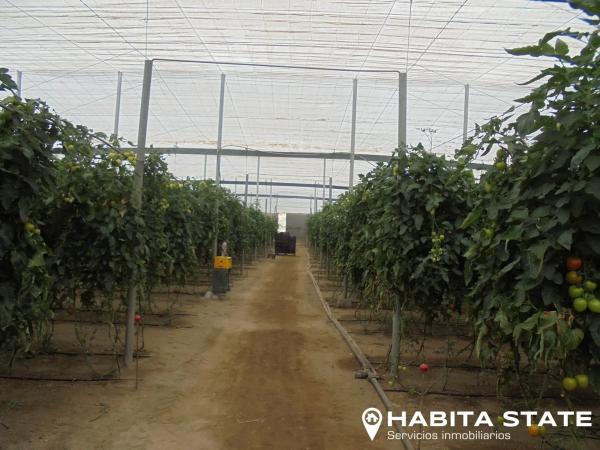 Terreno en Pago de Ojeda s/n