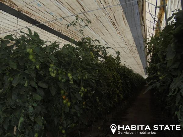 Terreno en Pago de Ojeda s/n