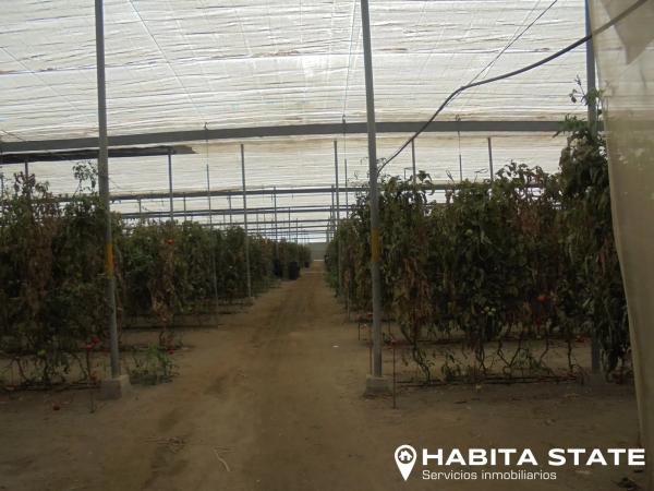 Terreno en Pago de Ojeda s/n