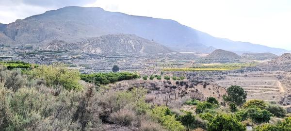 Terreno en carretera He Huecija s/n