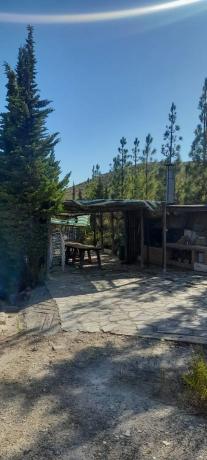 Terreno en carretera al-4402 s/n