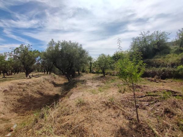 Terreno en A-1180 s/n