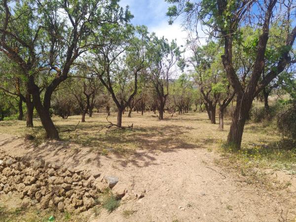 Terreno en A-1180 s/n