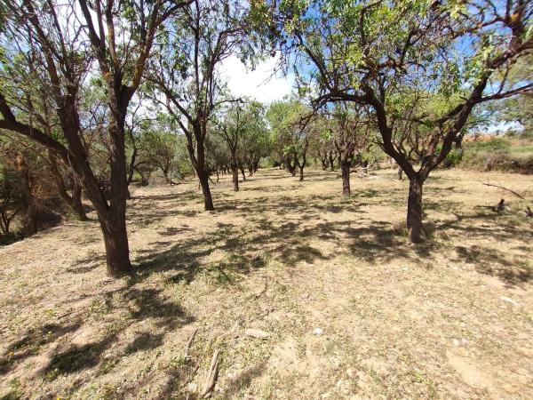 Terreno en A-1180 s/n