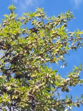 Terreno en A-1180 s/n