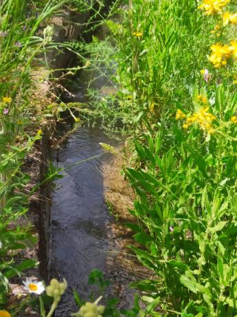 Terreno en A-1180 s/n