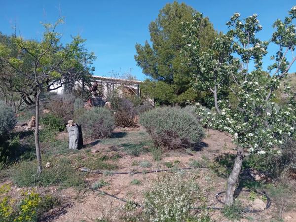 Terreno en Paraje del Cierzo, km 1