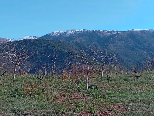 Terreno en Paraje del Cierzo, km 1