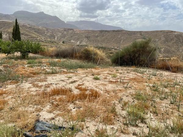 Terreno en Poligono 2 Parcela 116 s/n