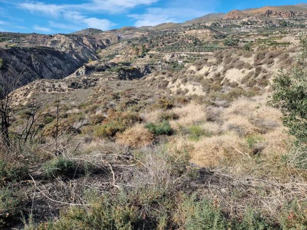 Terreno en Canjayar