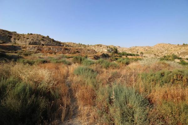 Terreno en calle Antonio Machado