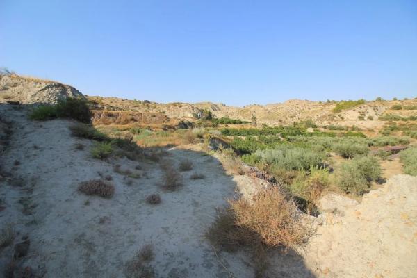 Terreno en calle Antonio Machado