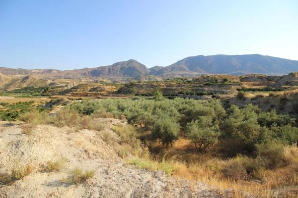 Terreno en calle Antonio Machado