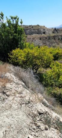 Terreno en La Solaneta s/n