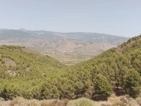 Terreno en calle Balboa, 1