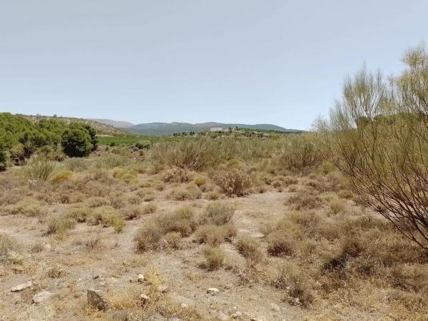 Terreno en calle Balboa, 1