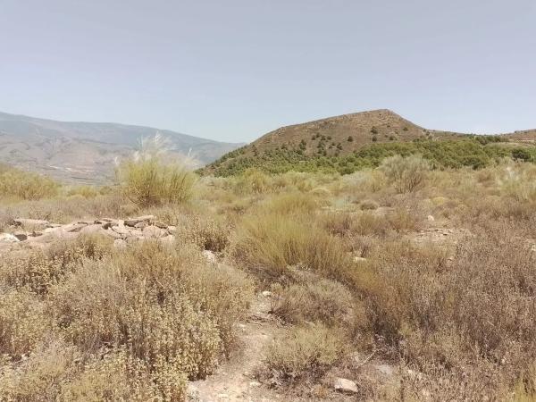 Terreno en calle Balboa, 1