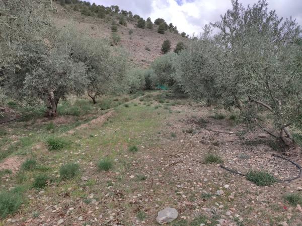 Terreno en via sin nombre s/n