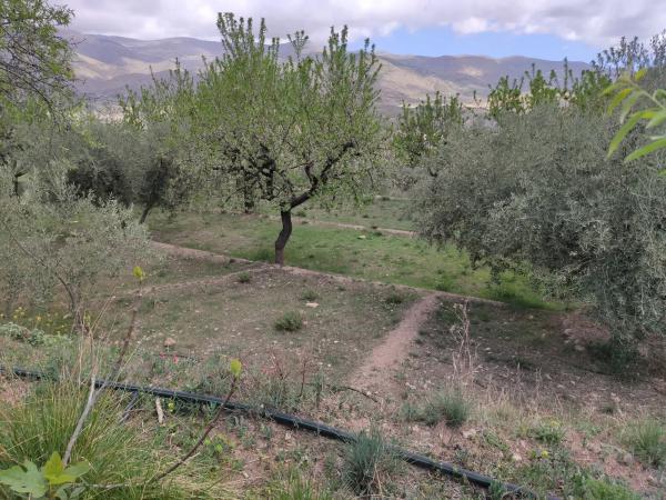 Terreno en via sin nombre s/n