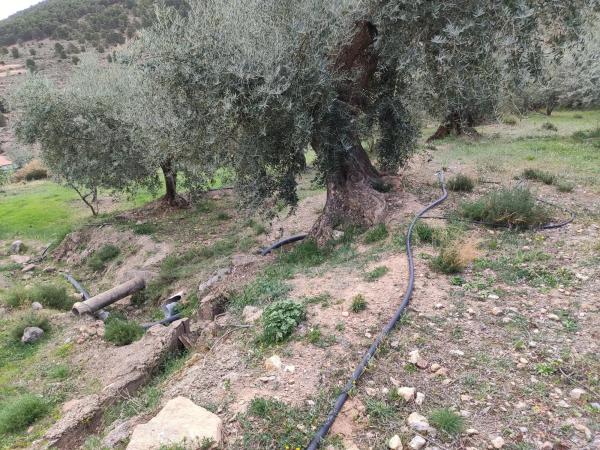 Terreno en via sin nombre s/n