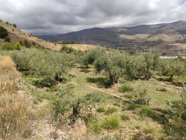 Terreno en via sin nombre s/n