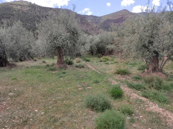 Terreno en via sin nombre s/n