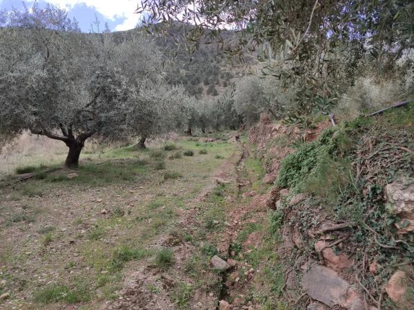 Terreno en via sin nombre s/n