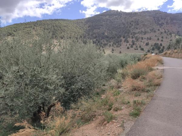 Terreno en via sin nombre s/n