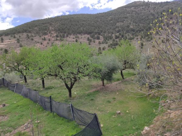 Terreno en via sin nombre s/n